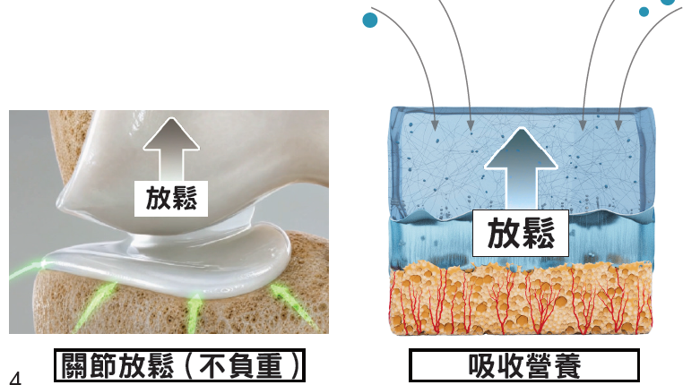 軟骨受負重與放鬆時的擴散代謝示意圖
